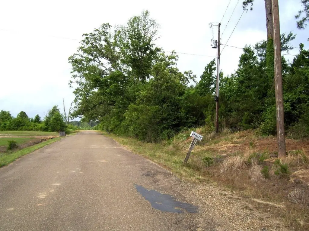 Picture 3