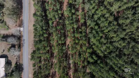 Residential Lots in Robertsdale, AL