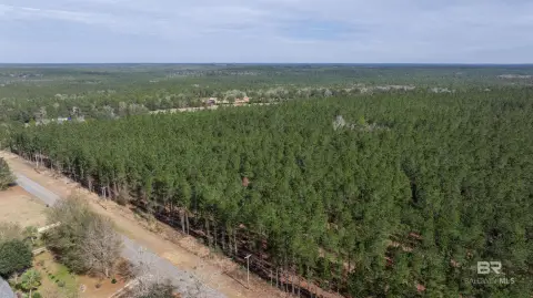 Residential Lots in Robertsdale, AL