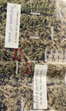 Residential Land Near Ocala