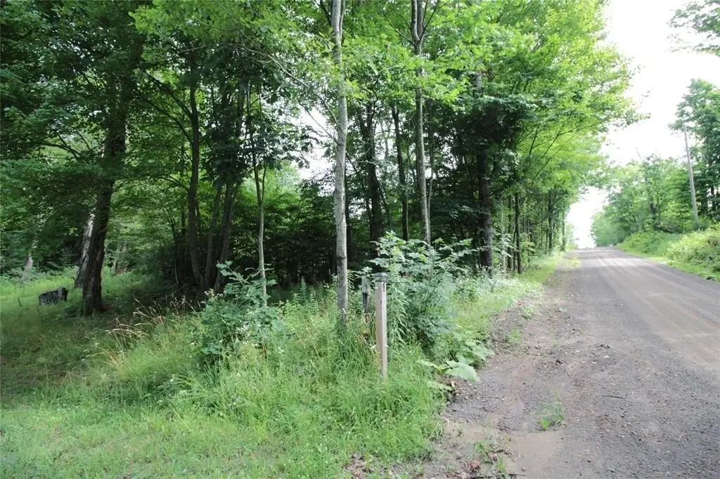 Picture 23
