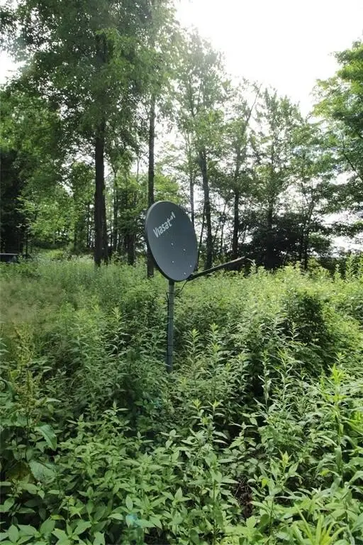 Picture 6