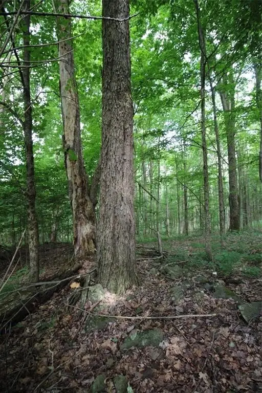 Picture 17