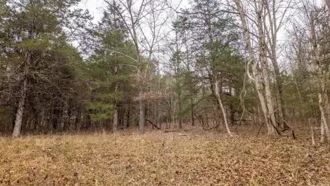 8-Acre Wooded Land in Thayer