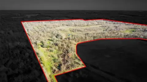 Texas Hunting Land For Sale
