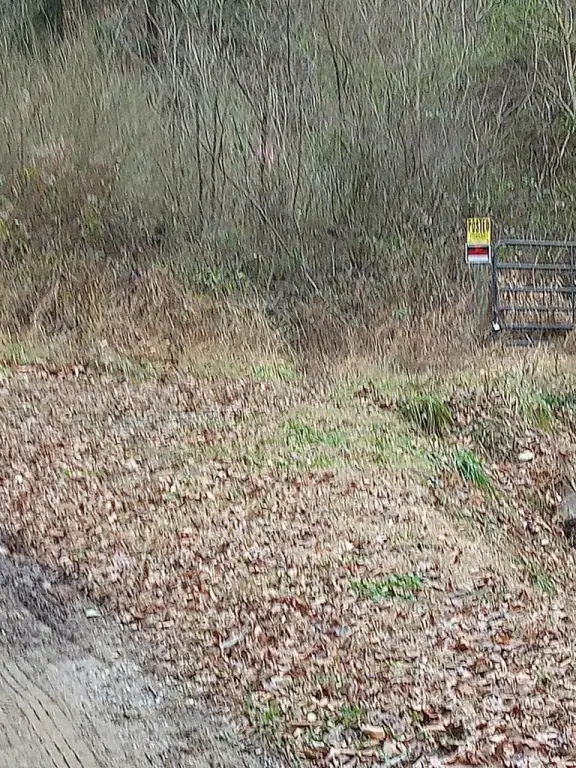 Picture 2