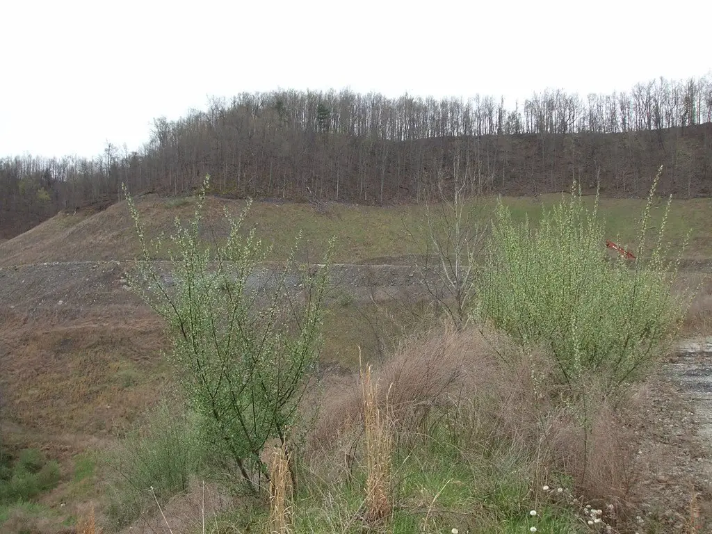 Picture 10