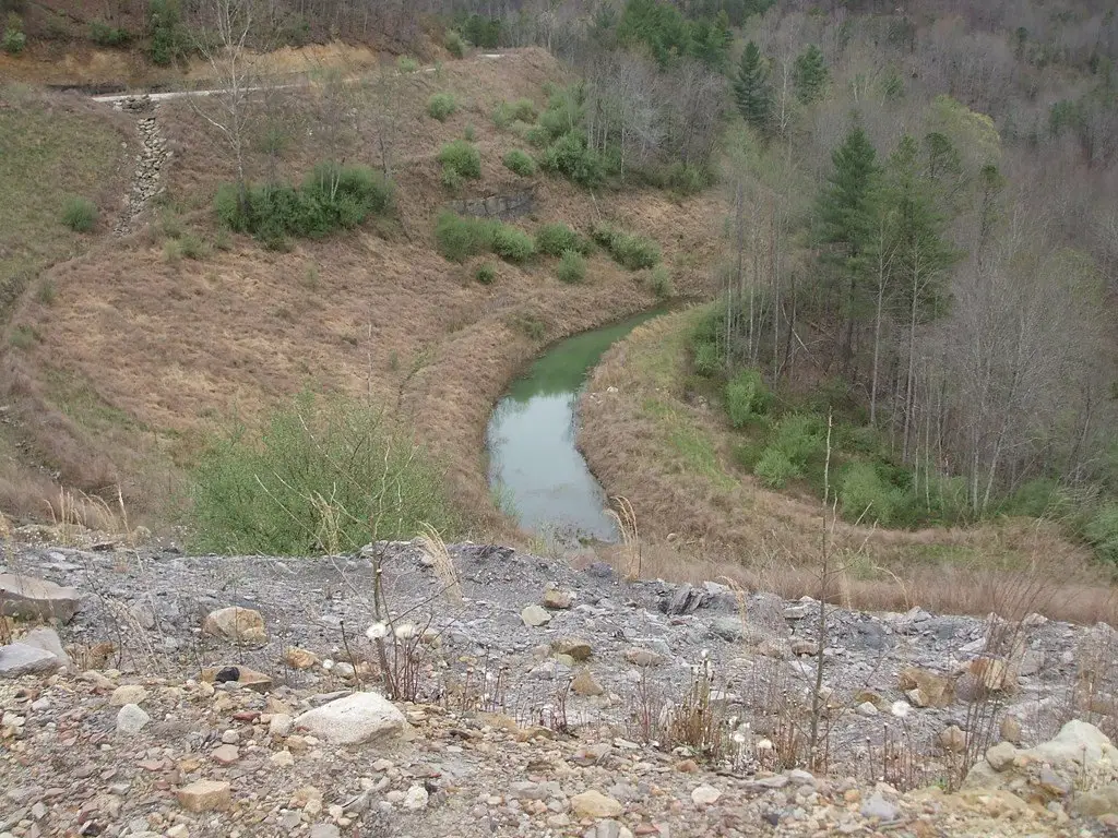 Picture 12