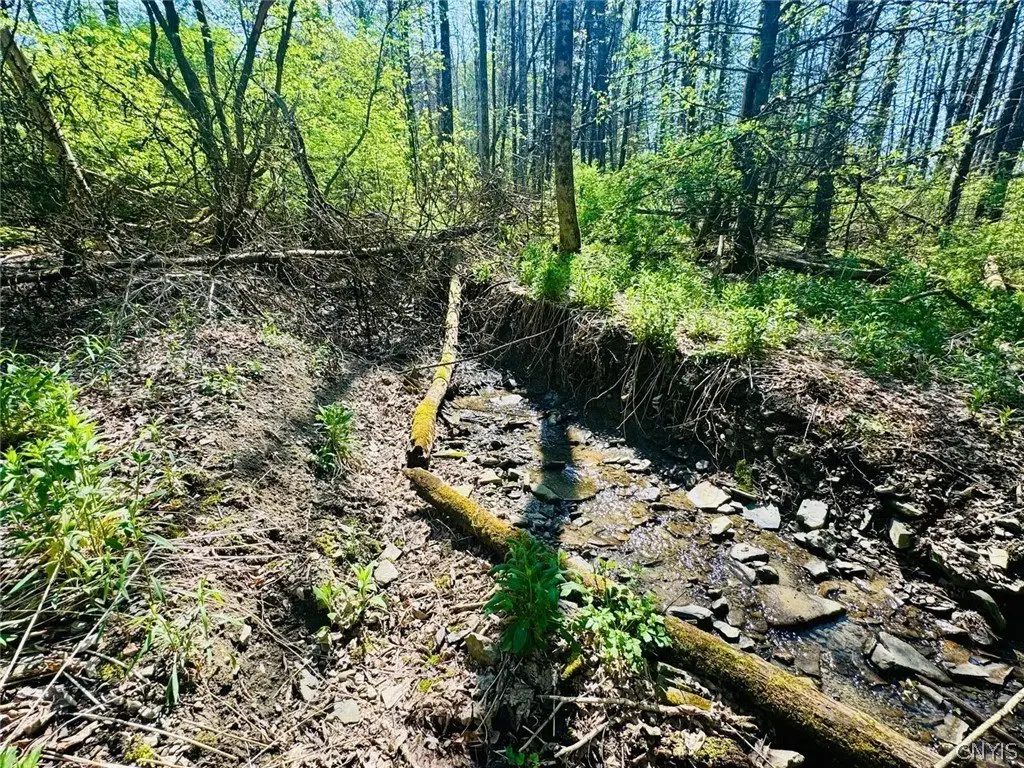 Picture 2
