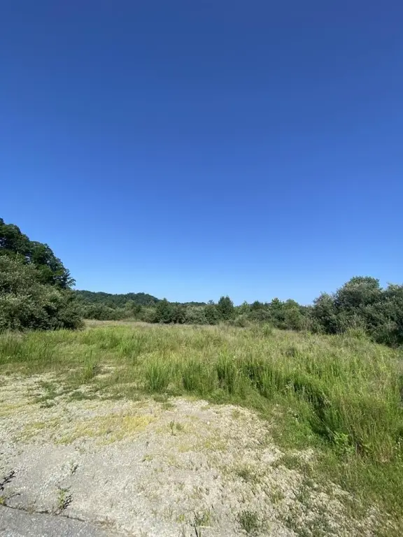 Picture 5