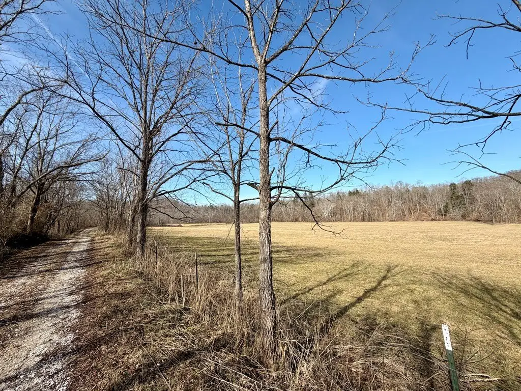 Picture 19
