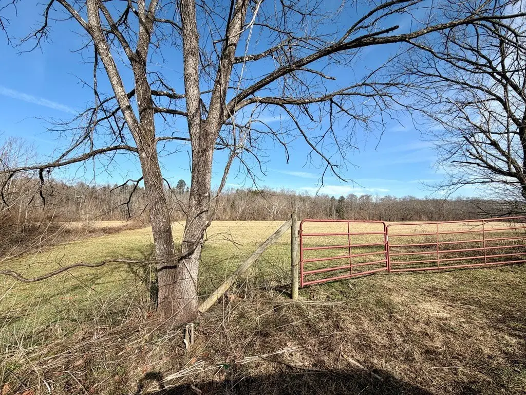 Picture 14