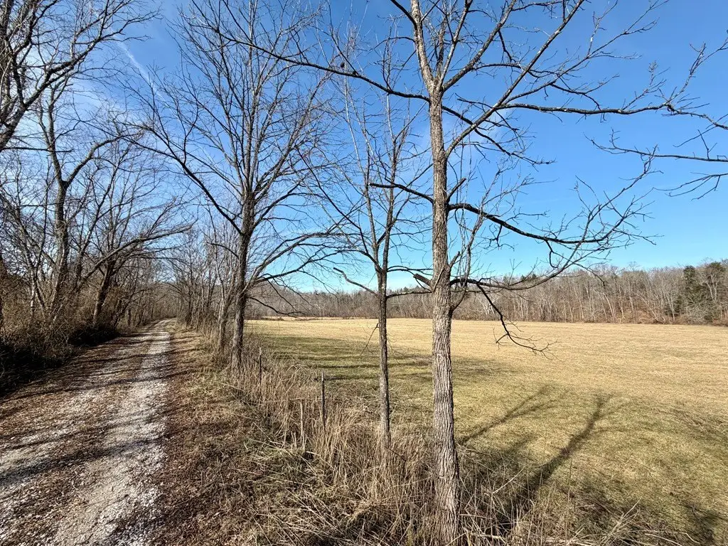 Picture 16