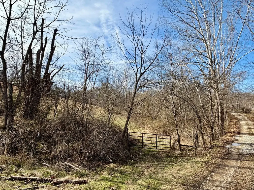 Picture 12