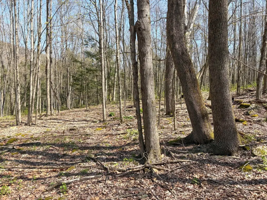 Picture 16