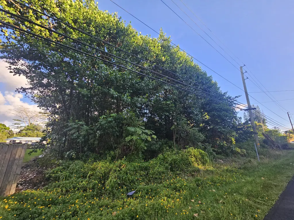 Picture 5
