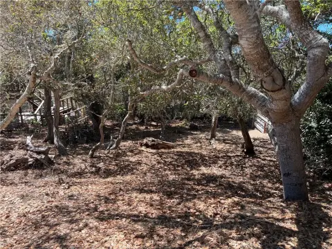 Cambria Vacant Lot Opportunity