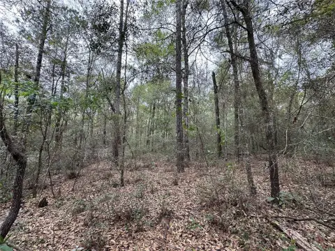 Williston Highlands Building Lot