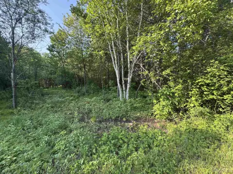 Wooded Lot Near Ski Hill