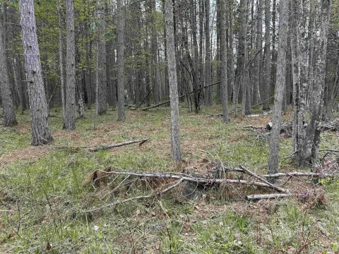 2.61 Acre Building Site