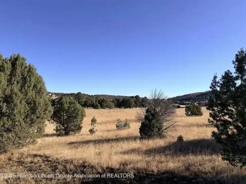 Land For Sale, Alto, NM
