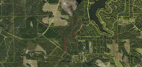 Havana, FL Timber Property