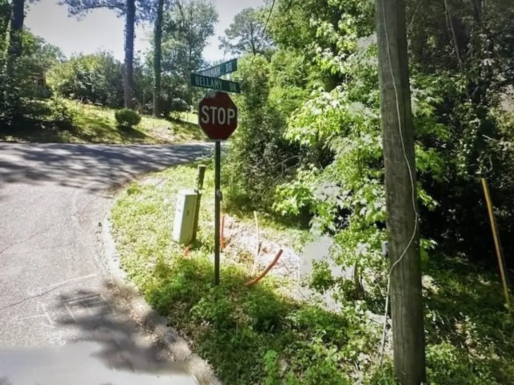 Picture 15