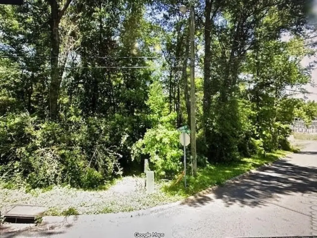 Picture 11