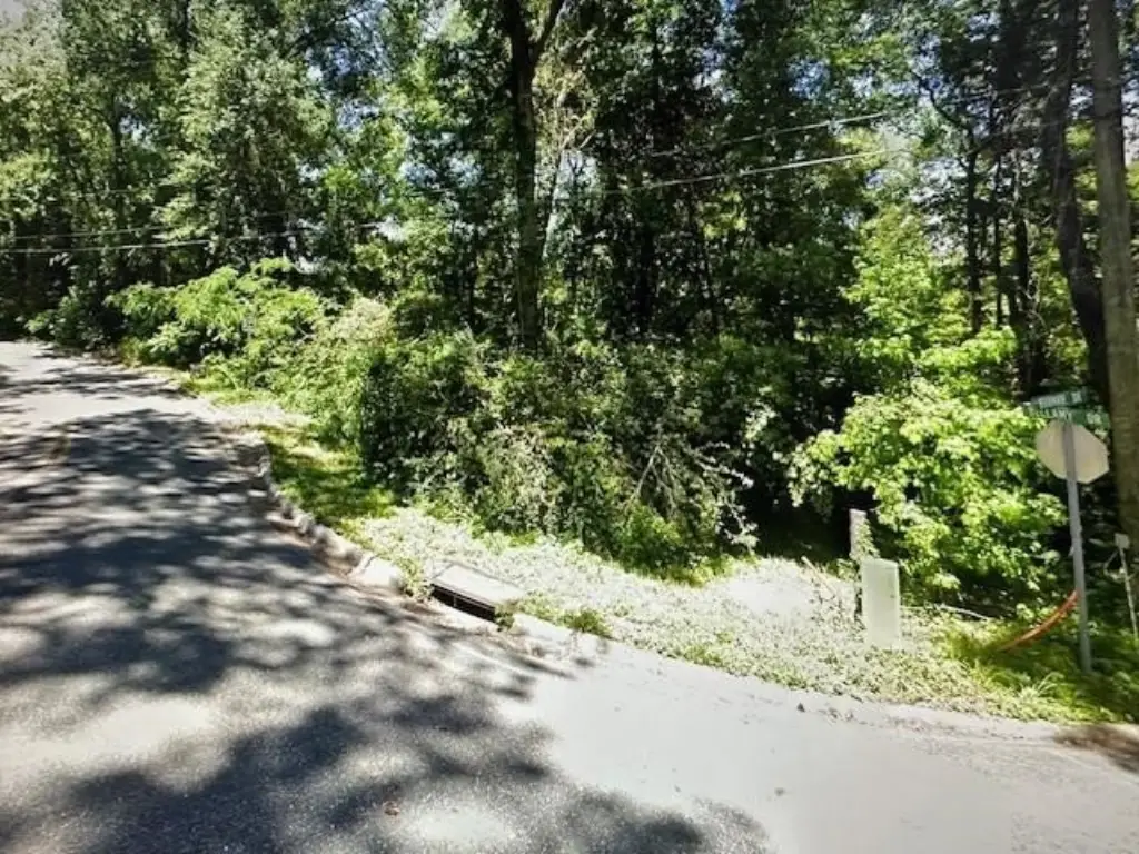 Picture 16