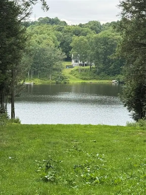 Picture 9
