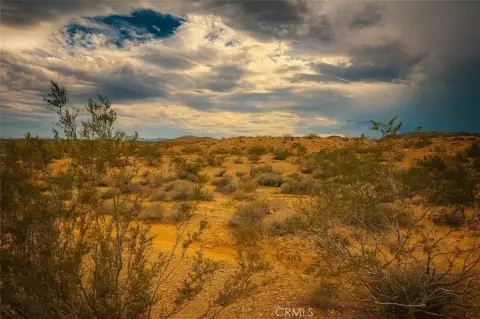 Pristine Land in Yucca Valley