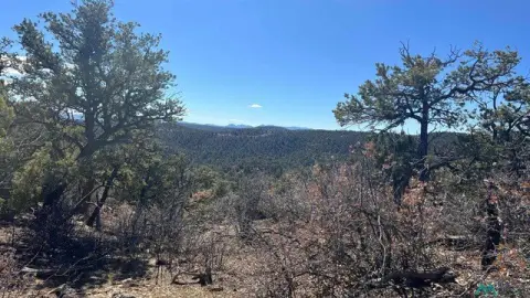 Treed Recreation Land With Rock Formations