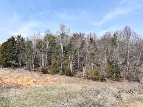 Wooded Land in Chuckey, TN