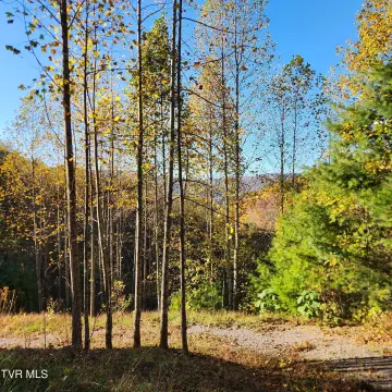 Unicoi, TN Land Parcel