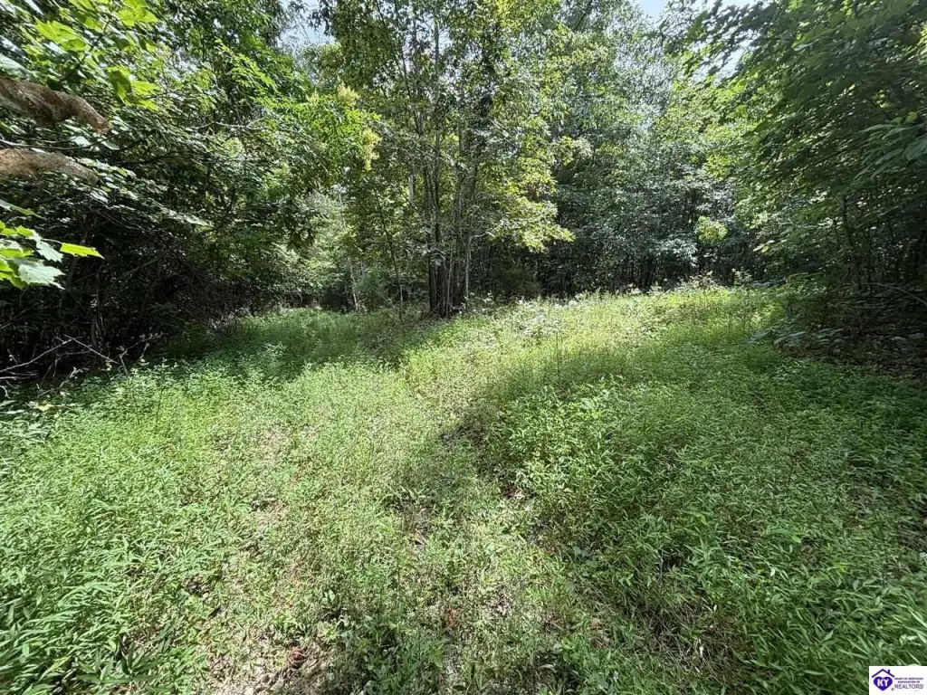 Picture 20