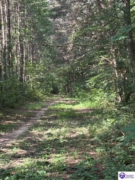 Picture 7