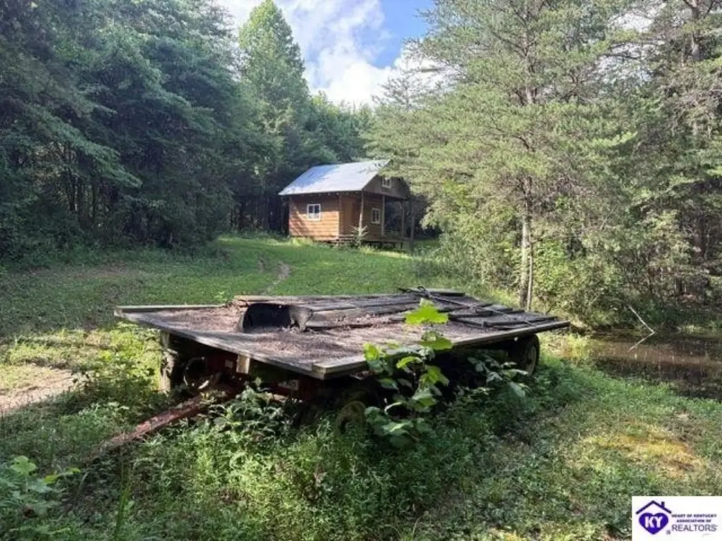 Picture 2