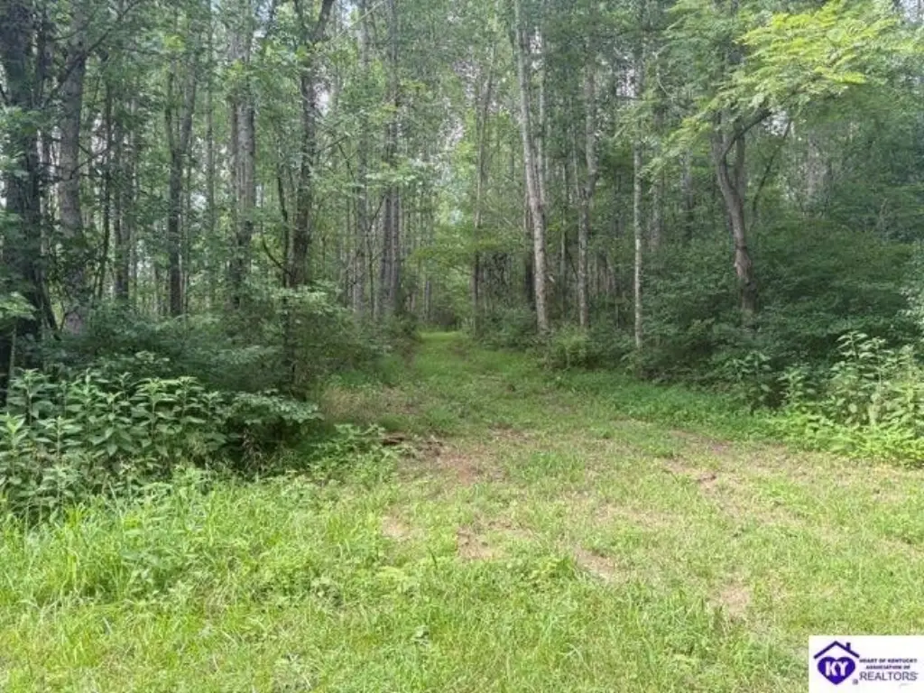 Picture 8