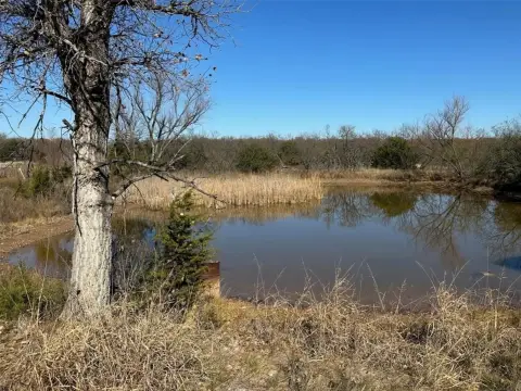 Texas Land with Pond