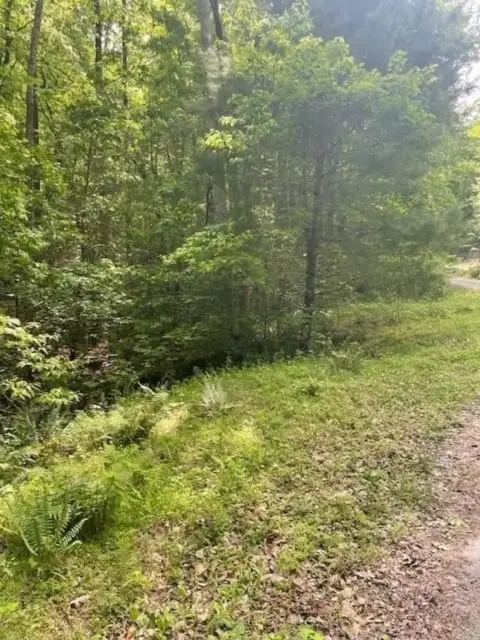 Residential Land in Dawsonville, GA