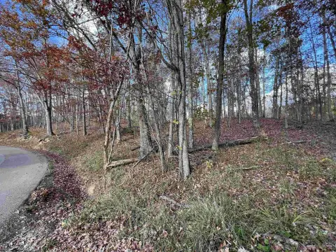 Residential Land in Beverly, WV