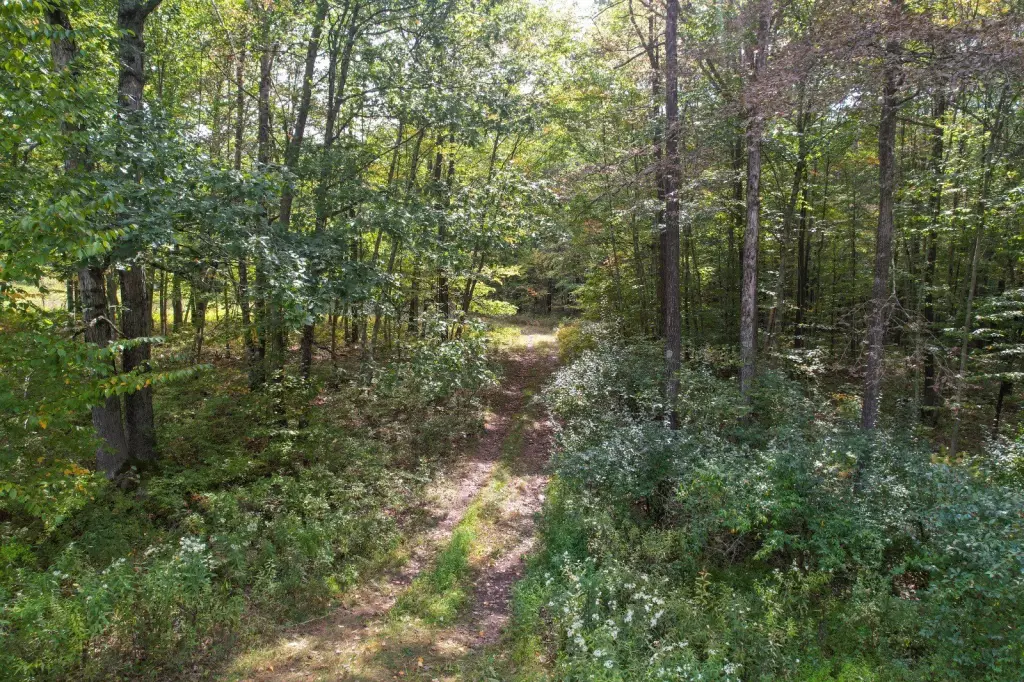 Picture 26