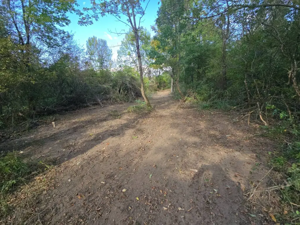 Picture 14