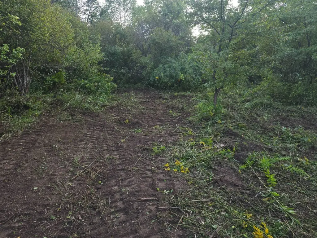 Picture 5