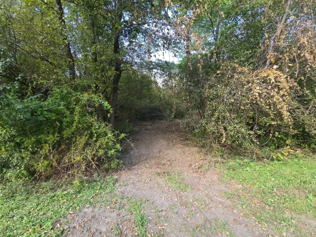 Picture 11