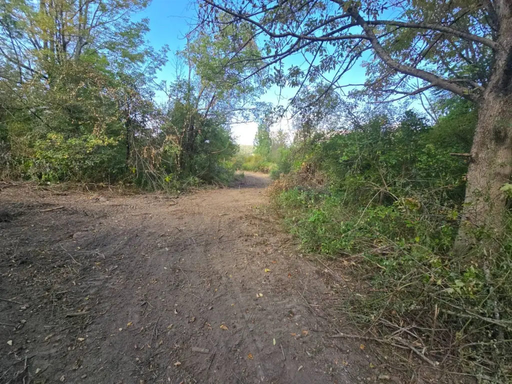 Picture 17