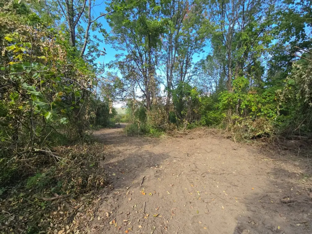Picture 15
