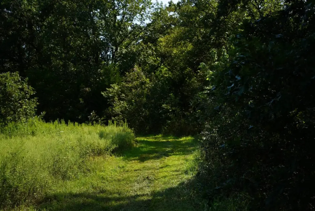 Picture 18
