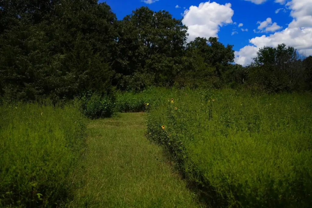 Picture 36