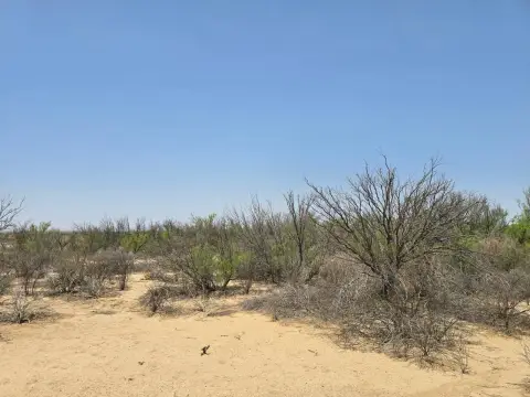 Terlingua Ranch Vacant Land